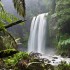 Nature-and-Miracles